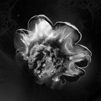 Robots Don't Sleep - So Bad (Synkro Vocal Mix)