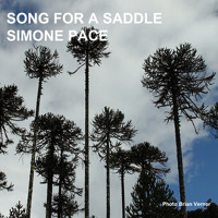Song For a Saddle - Simone Pace