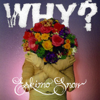 WHY? - Eskimo Snow [ORCA ft Jasmine Somers Acoustic Cover]