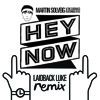 Martin Solveig & The Cataracs - Hey Now feat. Kyle (Club Mix)