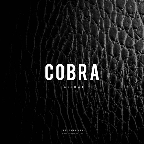 Parimax - Cobra (Original Mix)