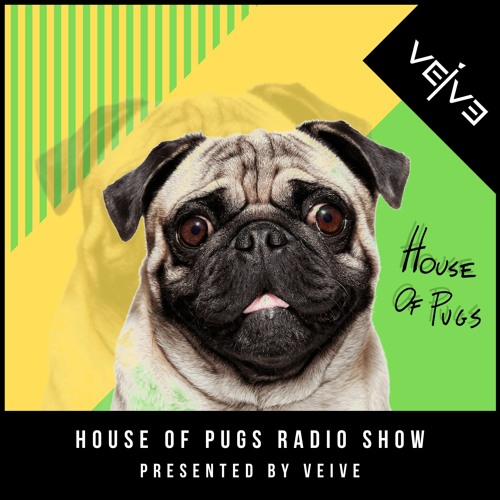 house pug